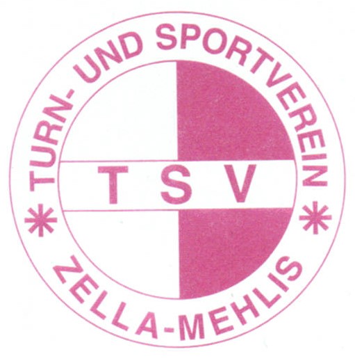 Aktion „TSV Hilft!“